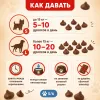 SANAL Dog Choko Drops шоколадные дропсы для собак, 125 г