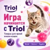 Triol Активная игра 26 набор мячей для кошек, 4 шт