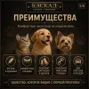 Ошейник Каскад Classic / Двойной кожаный для кошек, щенков и собак мини-пород, 12 мм, 20–24 см