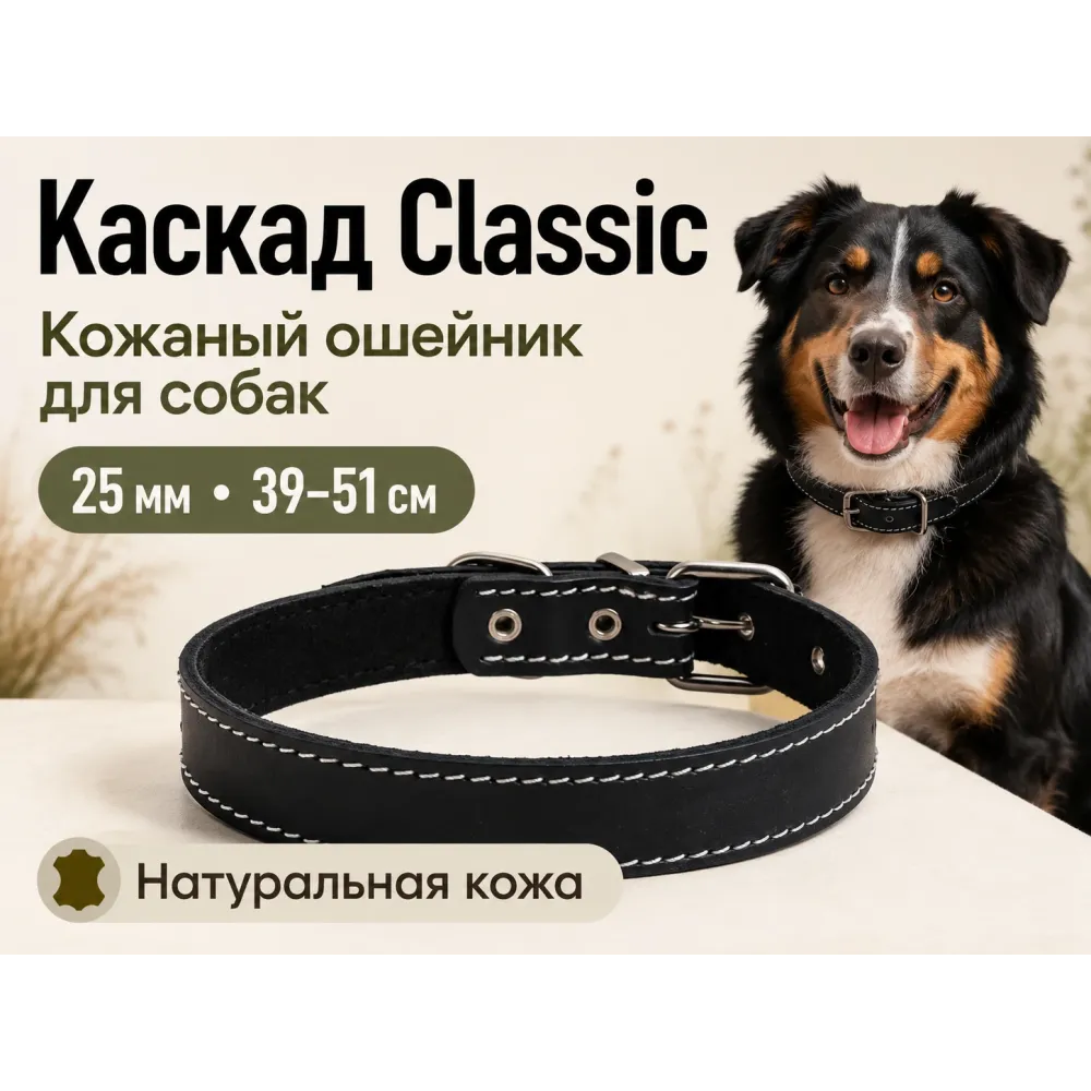 Каскад Classic — кожаный ошейник для собак, 25 мм, 39–51 см