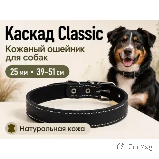 Каскад Classic — кожаный ошейник для собак, 25 мм, 39–51 см