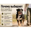 Каскад Classic — кожаный ошейник для собак, 25 мм, 39–51 см