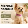 Каскад Classic — кожаный ошейник с мягкой подкладкой, 12 мм, 24–28 см
