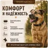 Ошейник Каскад «Классика» кожаный для собак, 35 мм, 55–64 см