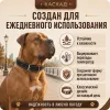 Ошейник Каскад «Классика» кожаный для собак, 35 мм, 55–64 см