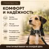 Ошейник Каскад кожаный щенячий для собак, 20 мм, 32–40 см, чёрный