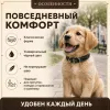Ошейник Каскад кожаный щенячий для собак, 20 мм, 32–40 см, чёрный