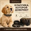 Ошейник Каскад кожаный щенячий для собак, 20 мм, 32–40 см, чёрный