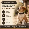Ошейник Каскад кожаный щенячий для собак, 25 мм, 39–51 см, чёрный