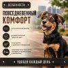 Ошейник Каскад кожаный щенячий для собак, 25 мм, 39–51 см, чёрный