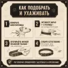 Ошейник Каскад кожаный щенячий для собак, 25 мм, 39–51 см, чёрный