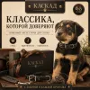 Ошейник Каскад кожаный щенячий для собак, 25 мм, 39–51 см, чёрный