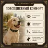 Ошейник Каскад кожаный щенячий для собак, 35 мм, 36–64 см, чёрный