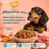 Мнямс Максимум Вкуса мясное рагу с говядиной и морковью для взрослых собак, 85 г