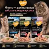 Мнямс Деликатес влажный корм для кошек Куриное филе с говядиной в соусе, 50 г