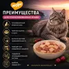 Мнямс Деликатес Куриное филе с говядиной в соусе — полнорационный влажный корм для взрослых кошек, 50 г