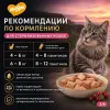 Мнямс Деликатес Куриное филе с говядиной в соусе — полнорационный влажный корм для взрослых кошек, 50 г