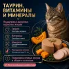 Мнямс Деликатес Паштет по-оксфордски с индейкой и тыквой для кошек, 100 г