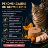 Мнямс Деликатес Паштет по-оксфордски с индейкой и тыквой для кошек, 100 г