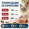 Мнямс Деликатес Паштет по-шведски с говядиной и клюквой для стерилизованных кошек, 100 г