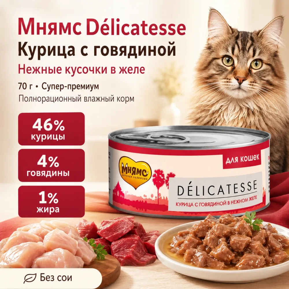 Мнямс Деликатес Курица с говядиной в желе — дополнительный влажный корм для кошек, 70 г