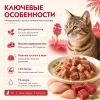 Мнямс Деликатес Курица с говядиной в желе — дополнительный влажный корм для кошек, 70 г