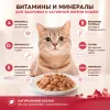 Мнямс Деликатес Курица с говядиной в желе — дополнительный влажный корм для кошек, 70 г