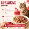 Мнямс Деликатес Курица с говядиной в желе — дополнительный влажный корм для кошек, 70 г
