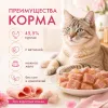 Мнямс Деликатес Курица с ветчиной в нежном желе для взрослых кошек, 70 г