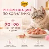 Мнямс Деликатес Курица с ветчиной в нежном желе для взрослых кошек, 70 г