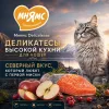 Мнямс Деликатес Паштет по-норвежски с лососем, яблоком и клюквой для стерилизованных кошек, 100 г
