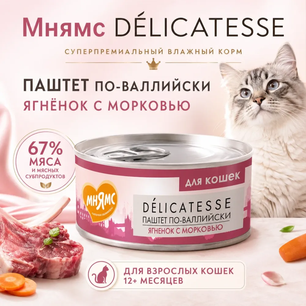 Мнямс Деликатес Паштет по-валлийски с ягнёнком и морковью для взрослых кошек, 100 г