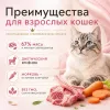 Мнямс Деликатес Паштет по-валлийски с ягнёнком и морковью для взрослых кошек, 100 г