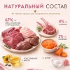 Мнямс Деликатес Паштет по-валлийски с ягнёнком и морковью для взрослых кошек, 100 г