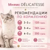 Мнямс Деликатес Паштет по-валлийски с ягнёнком и морковью для взрослых кошек, 100 г
