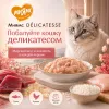 Мнямс Деликатес Тунец с курицей в нежном желе — дополнительный влажный корм для кошек, 70 г