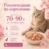 Мнямс Деликатес Тунец с макрелью в нежном желе — дополнительный влажный корм для кошек, 70 г