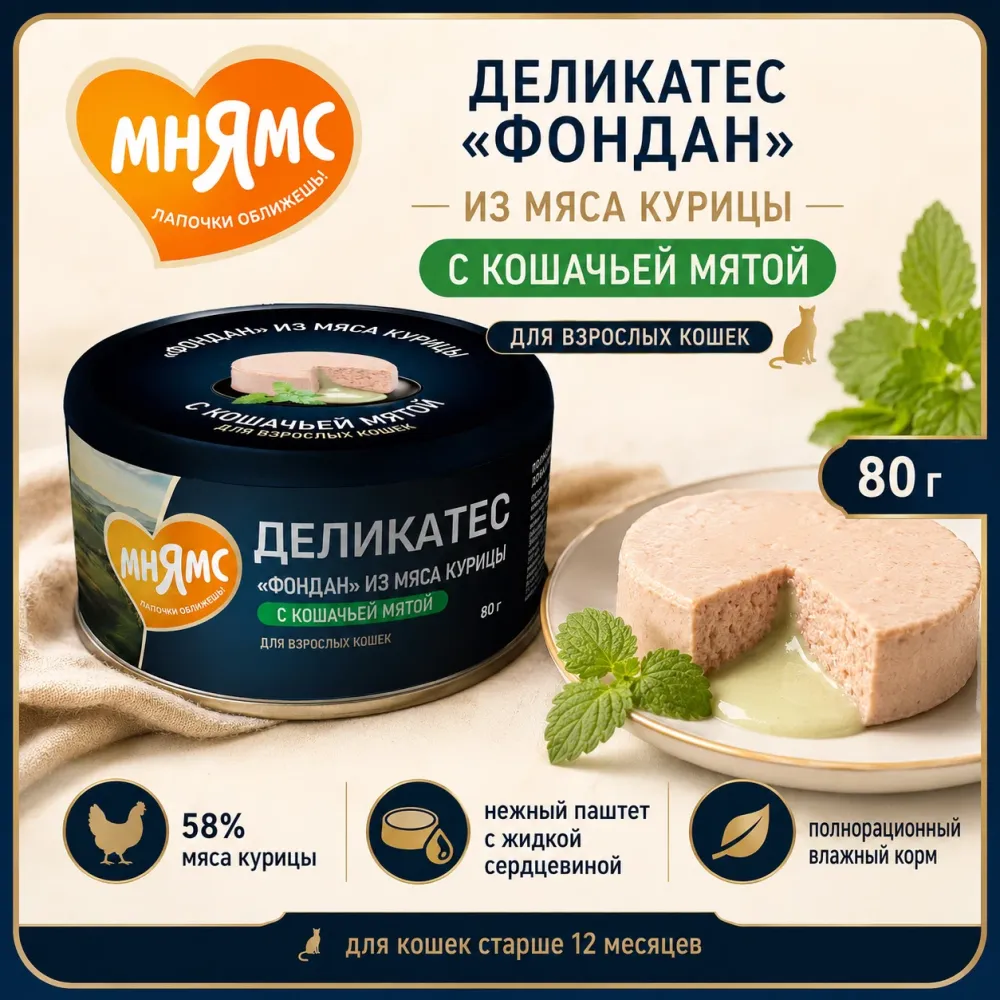 Мнямс Деликатес влажный корм «Фондан» из курицы с кошачьей мятой для взрослых кошек, 80 г