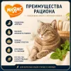 Мнямс Деликатес влажный корм «Фондан» из курицы с кошачьей мятой для взрослых кошек, 80 г