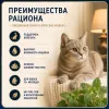Мнямс Деликатес влажный корм «Фондан» из курицы с маслом криля для взрослых кошек, 80 г