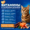 Мнямс Лакомые палочки с форелью и лососем для кошек, 10 × 5 г