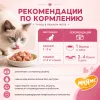 Мнямс На каждый день Тунец в желе — дополнительный влажный корм для кошек и котят старше 6 месяцев, 80 г