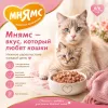 Мнямс На каждый день Тунец в желе — дополнительный влажный корм для кошек и котят старше 6 месяцев, 80 г