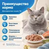 Мнямс На каждый день Влажный корм с форелью для взрослых кошек, для кожи и шерсти, 85 г