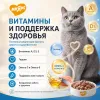 Мнямс На каждый день Влажный корм с форелью для взрослых кошек, для кожи и шерсти, 85 г