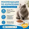 Мнямс На каждый день Влажный корм с форелью для взрослых кошек, для кожи и шерсти, 85 г