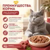 Мнямс На каждый день Влажный корм с говядиной для кошек крупных пород, 85 г