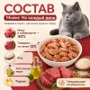 Мнямс На каждый день Влажный корм с говядиной для кошек крупных пород, 85 г