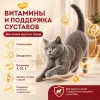 Мнямс На каждый день Влажный корм с говядиной для кошек крупных пород, 85 г