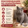 Мнямс На каждый день Влажный корм с говядиной для кошек крупных пород, 85 г